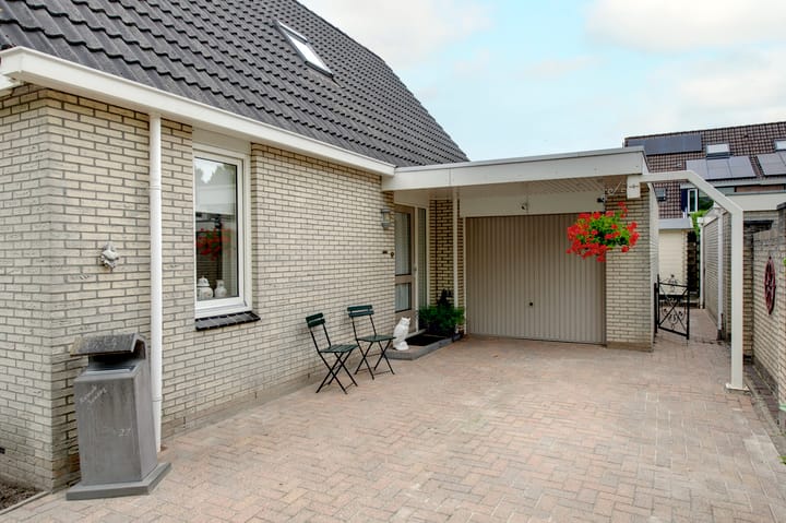 Foto 4 van Fluitekruid 27