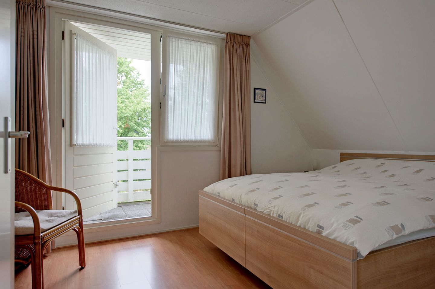 Foto 20 van Fluitekruid 27