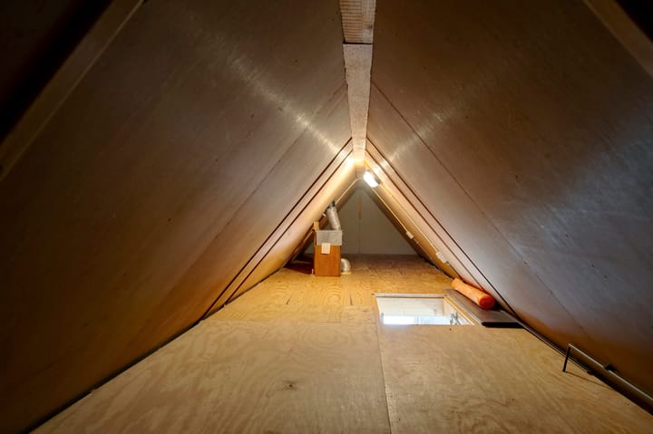 Foto 27 van Fluitekruid 27