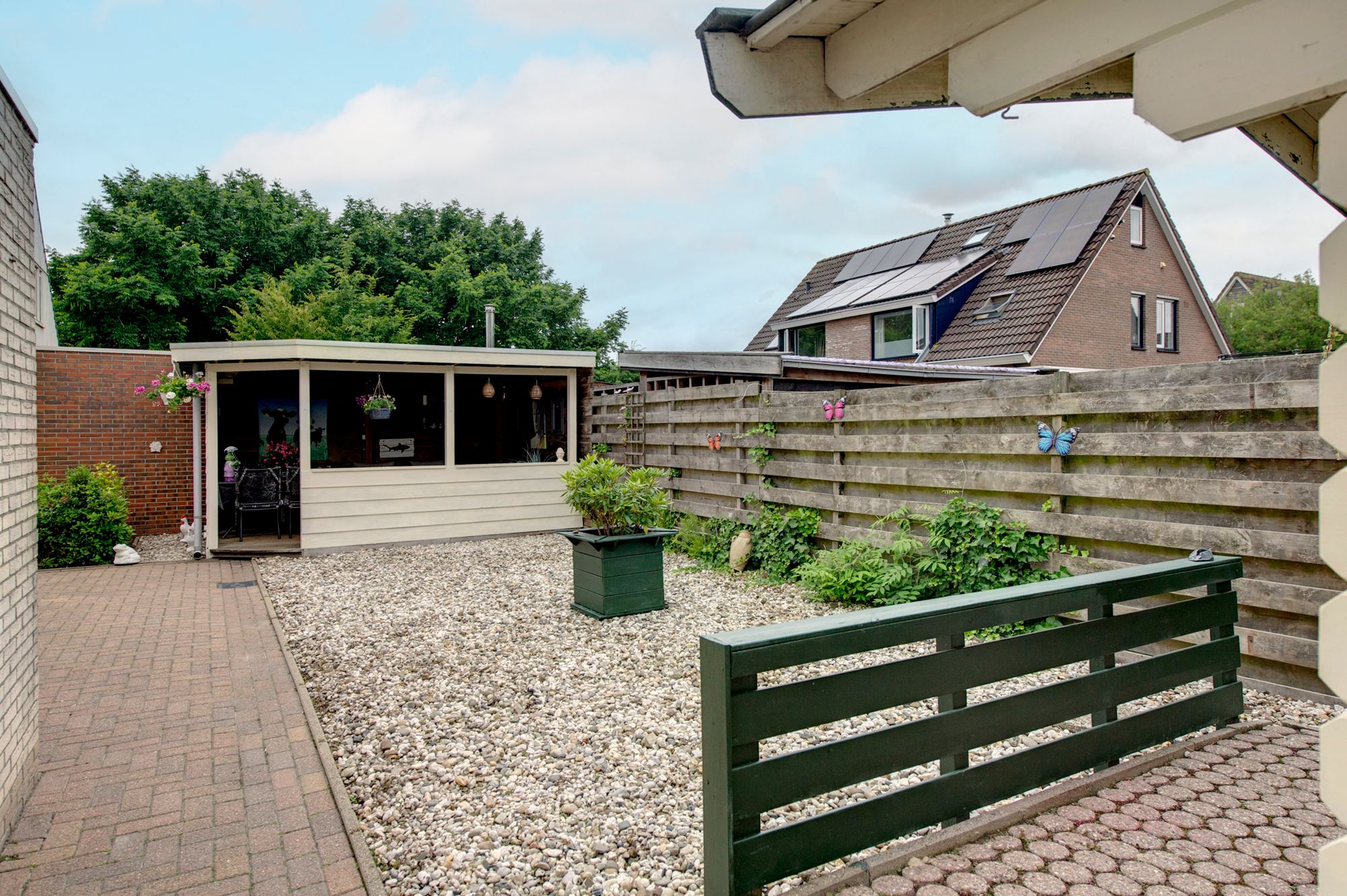 Foto 30 van Fluitekruid 27