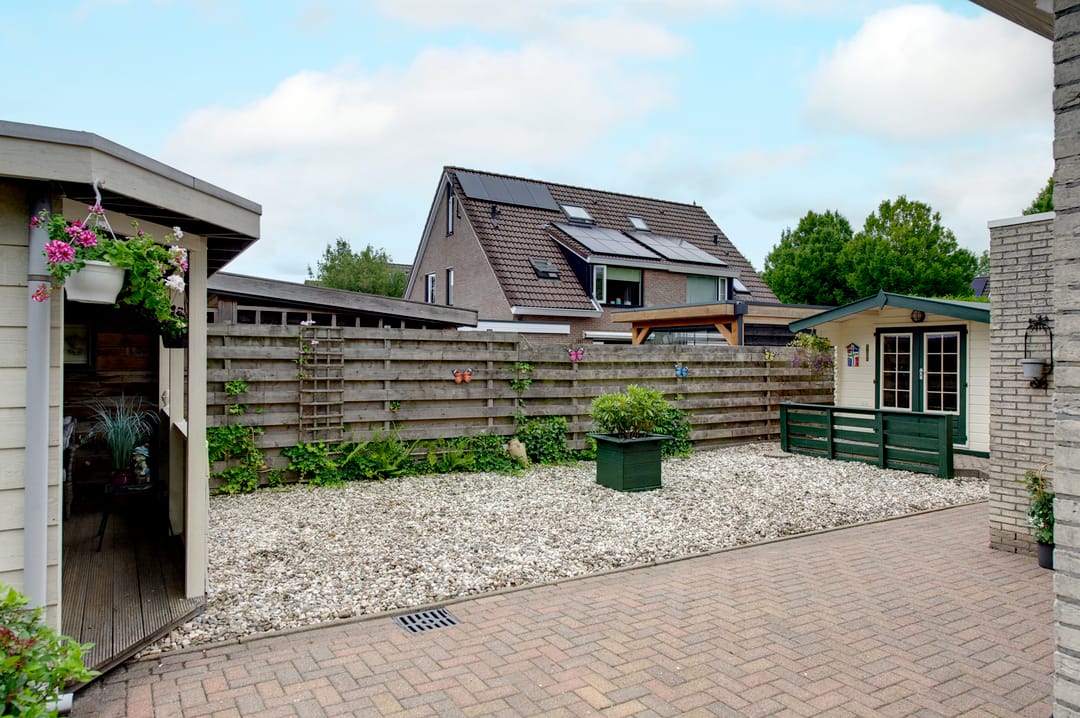 Foto 32 van Fluitekruid 27