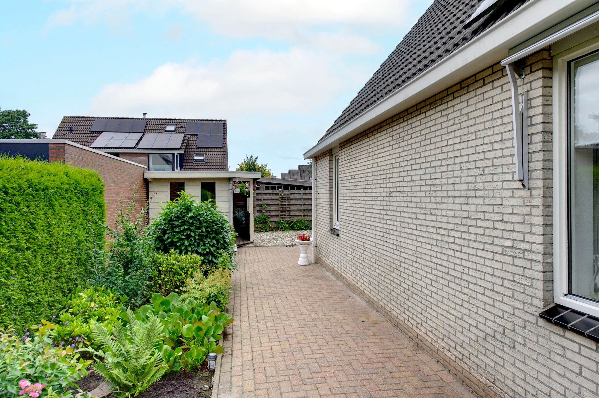 Foto 33 van Fluitekruid 27