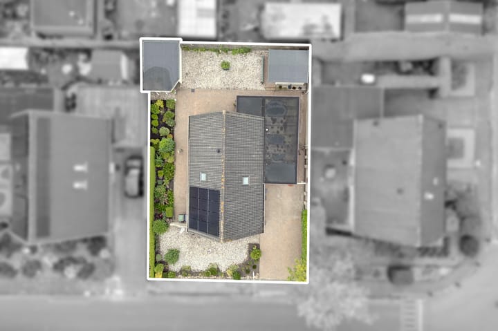 Foto 39 van Fluitekruid 27