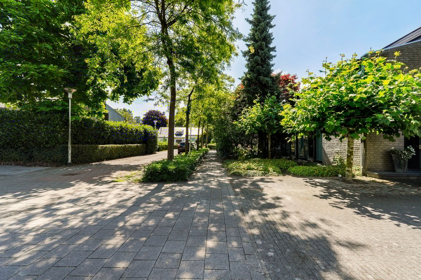 Foto 49 van Petrus Debijelaan 5