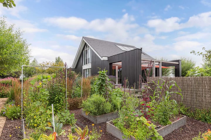 Foto 65 van Langelilleweg 21