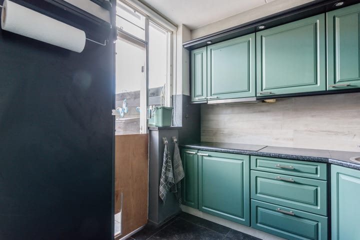 Foto 9 van Gerard Douhof 32