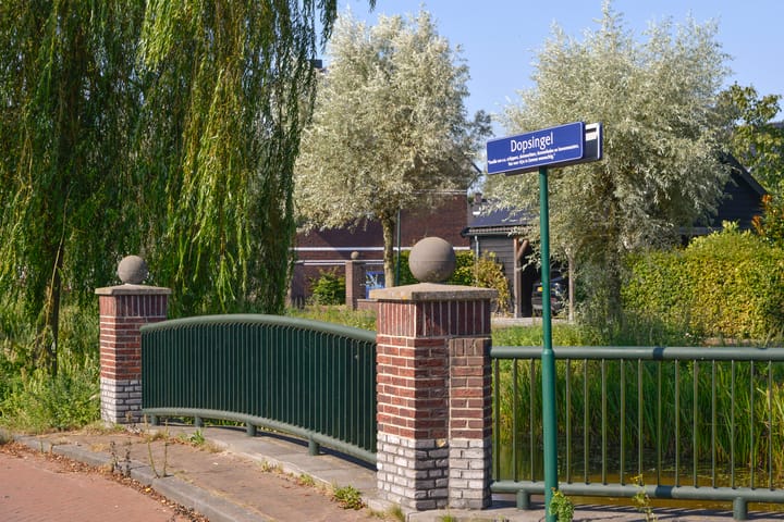 Foto 24 van Dopsingel 44