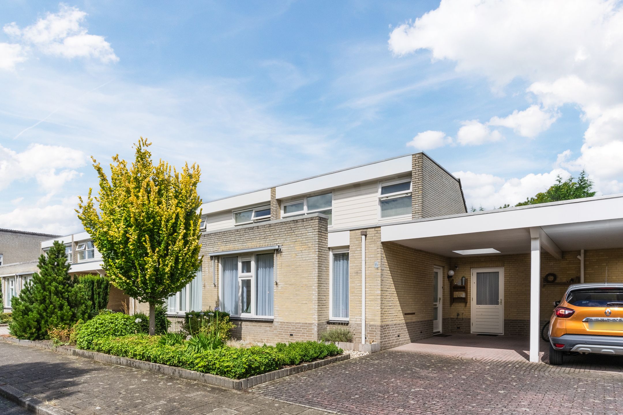 Elendil, 16, Geldrop, 5663RC, Noord-Brabant, Nederland 16