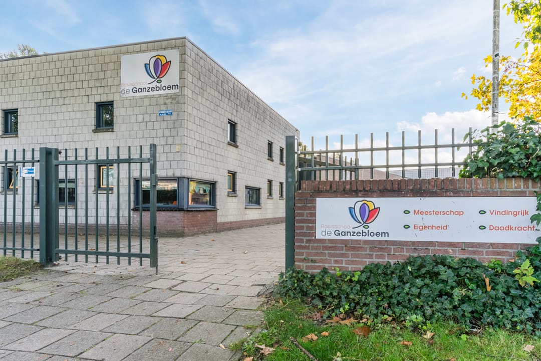 Foto 26 van Elendil 16