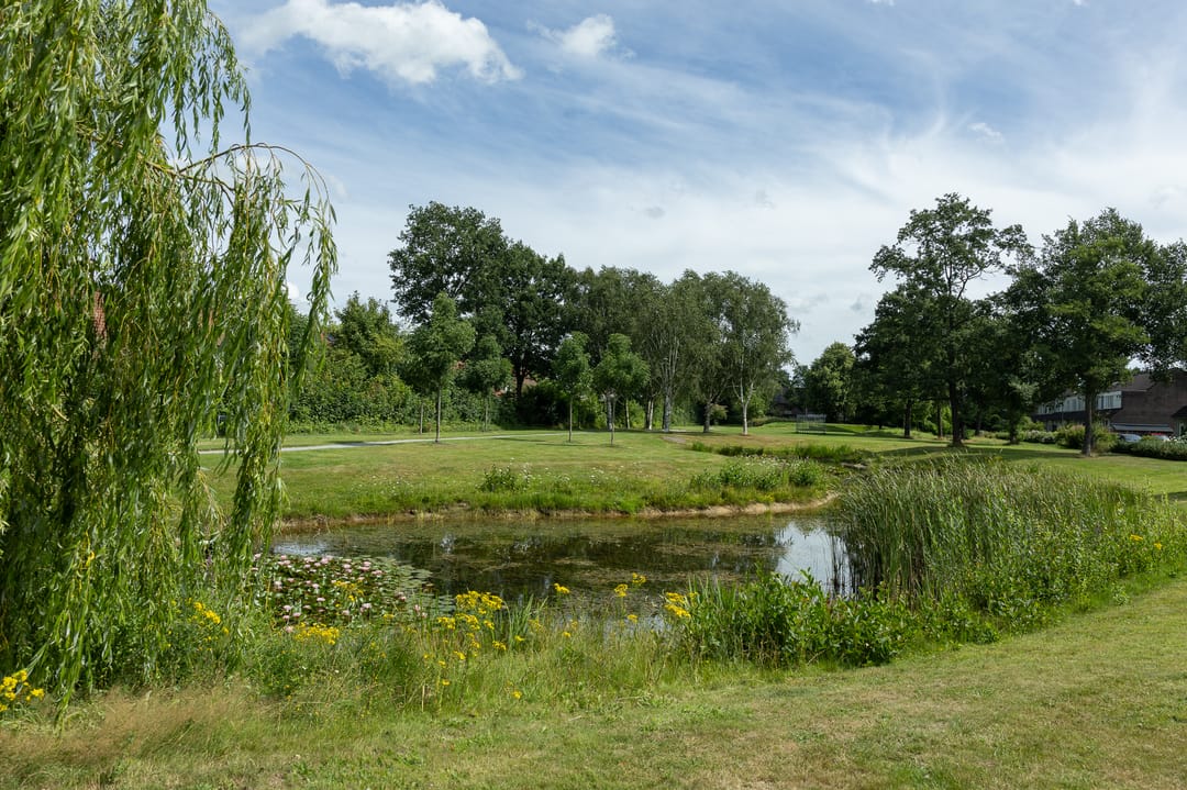 Foto 37 van De Excelsior 39