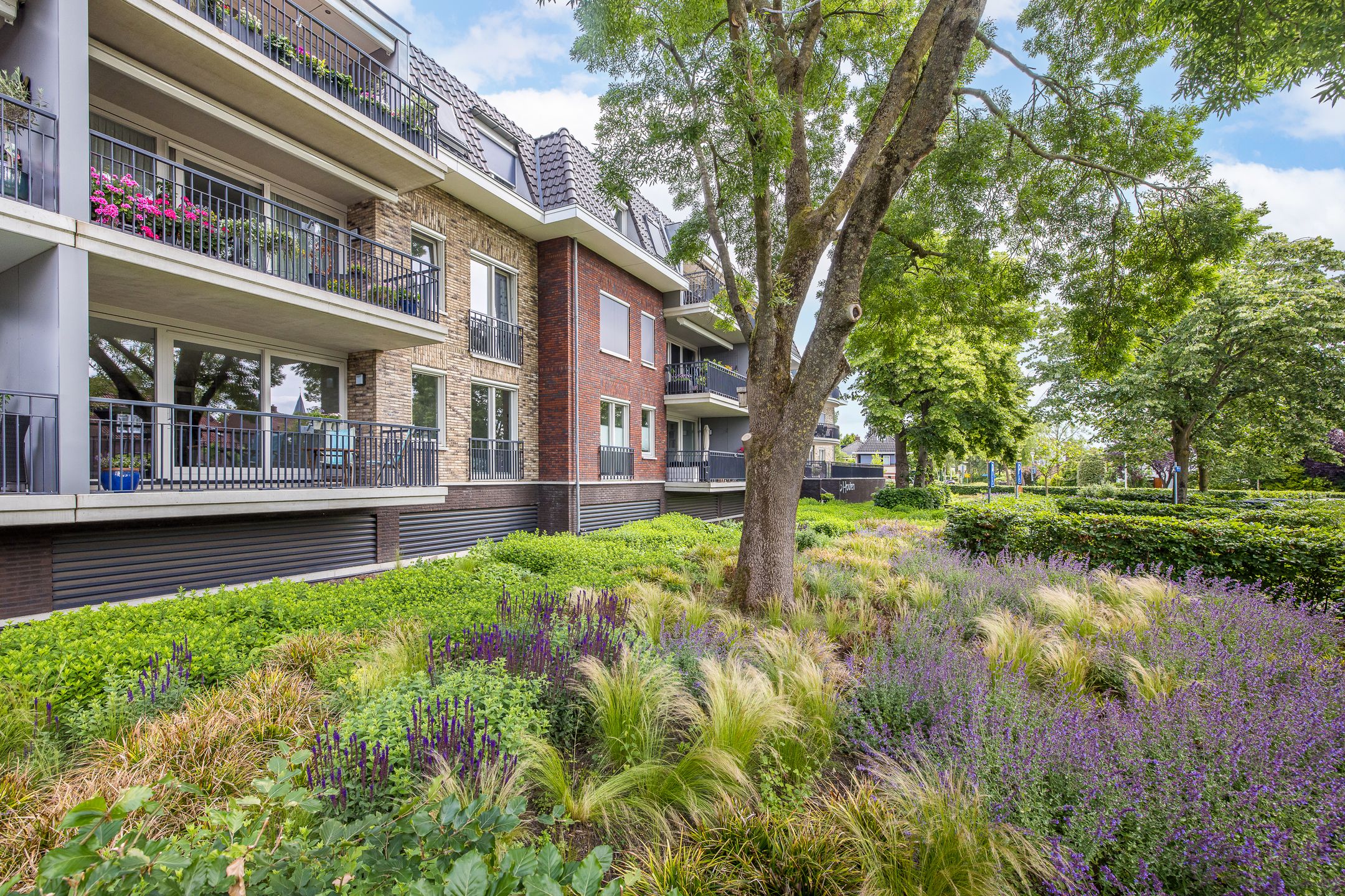 Foto 3 van Koningin Wilhelminaweg 13