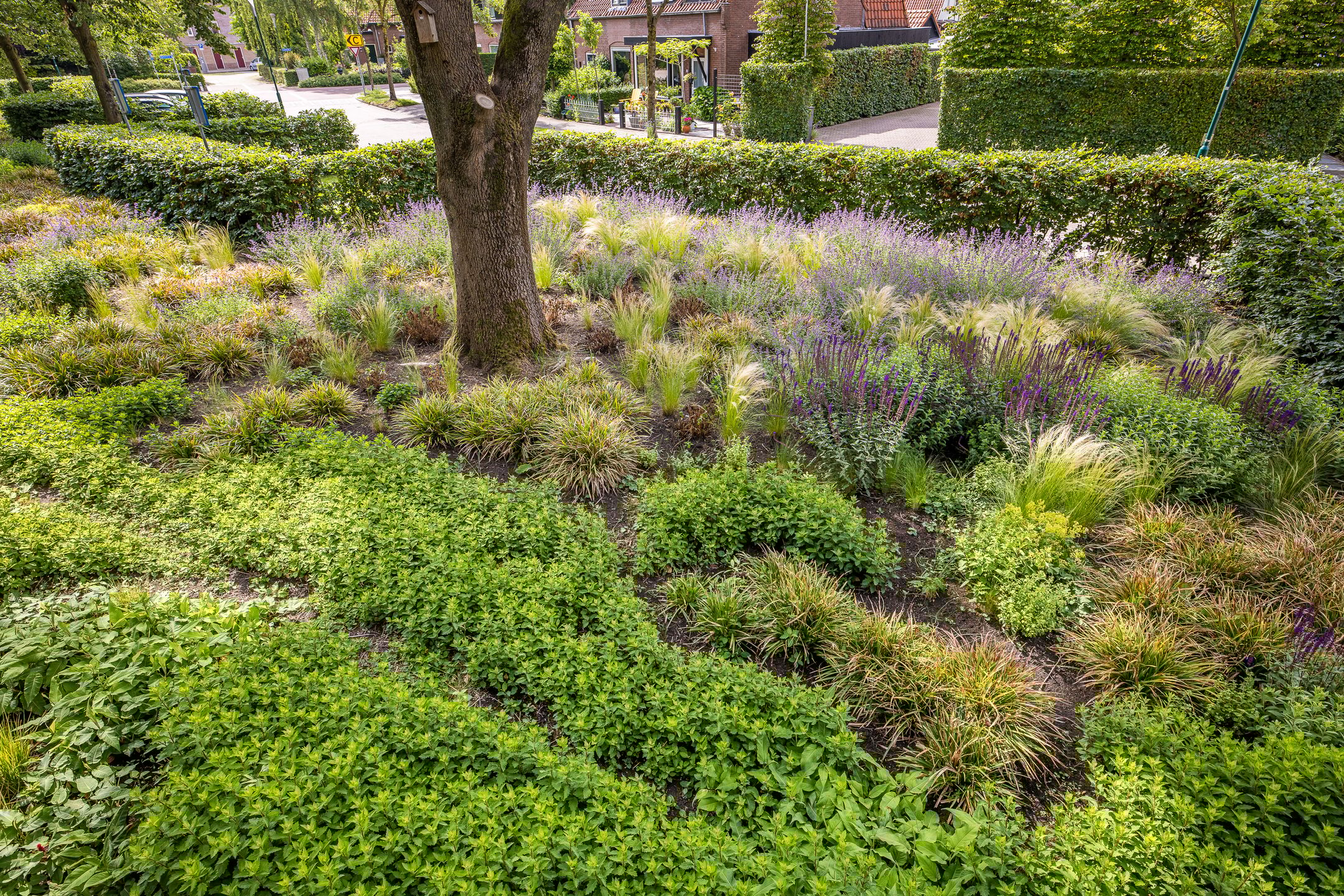 Foto 24 van Koningin Wilhelminaweg 13