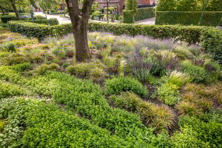 Foto 24 van Koningin Wilhelminaweg 13