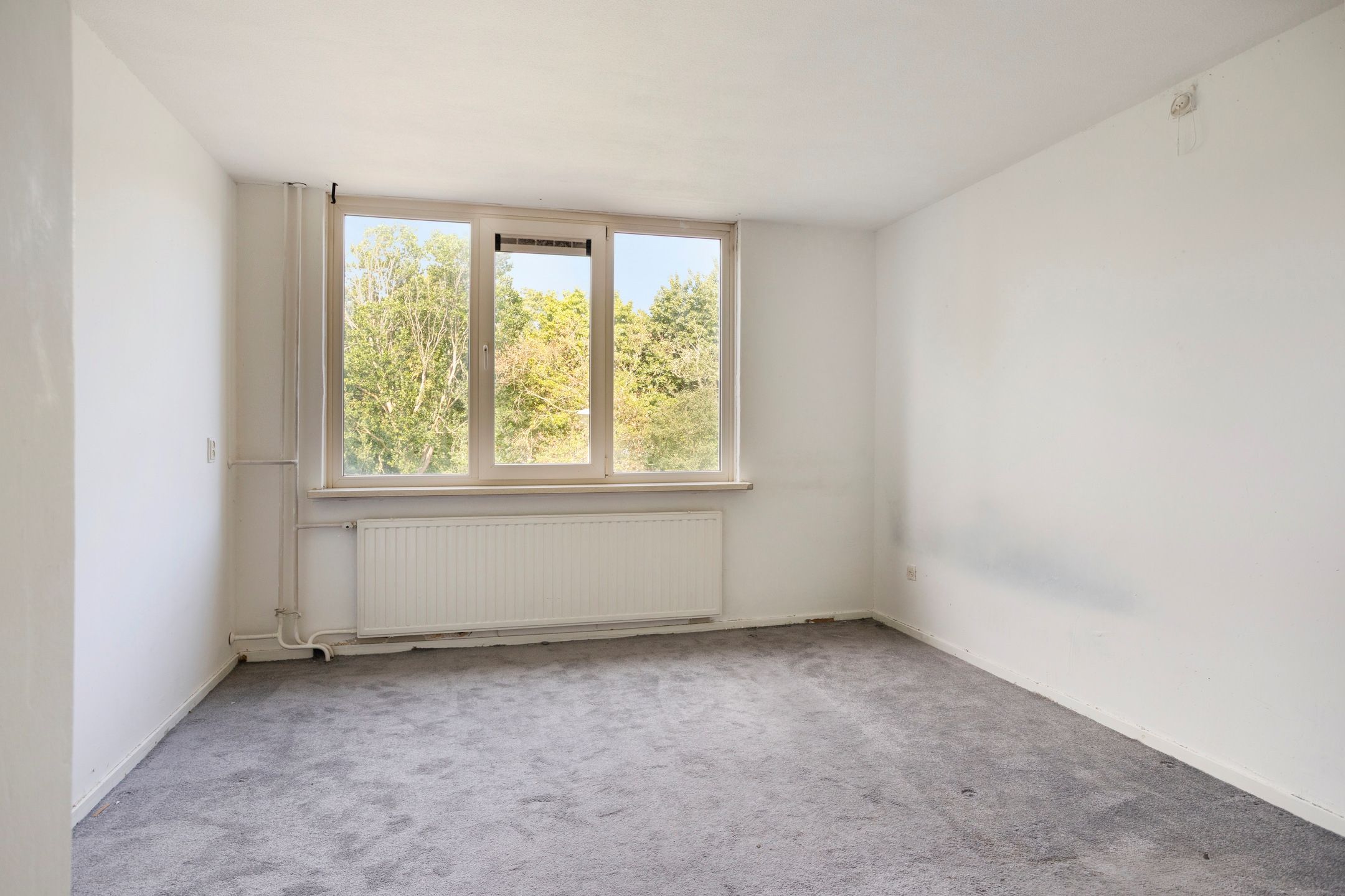 Foto 27 van Wilgenhof 9