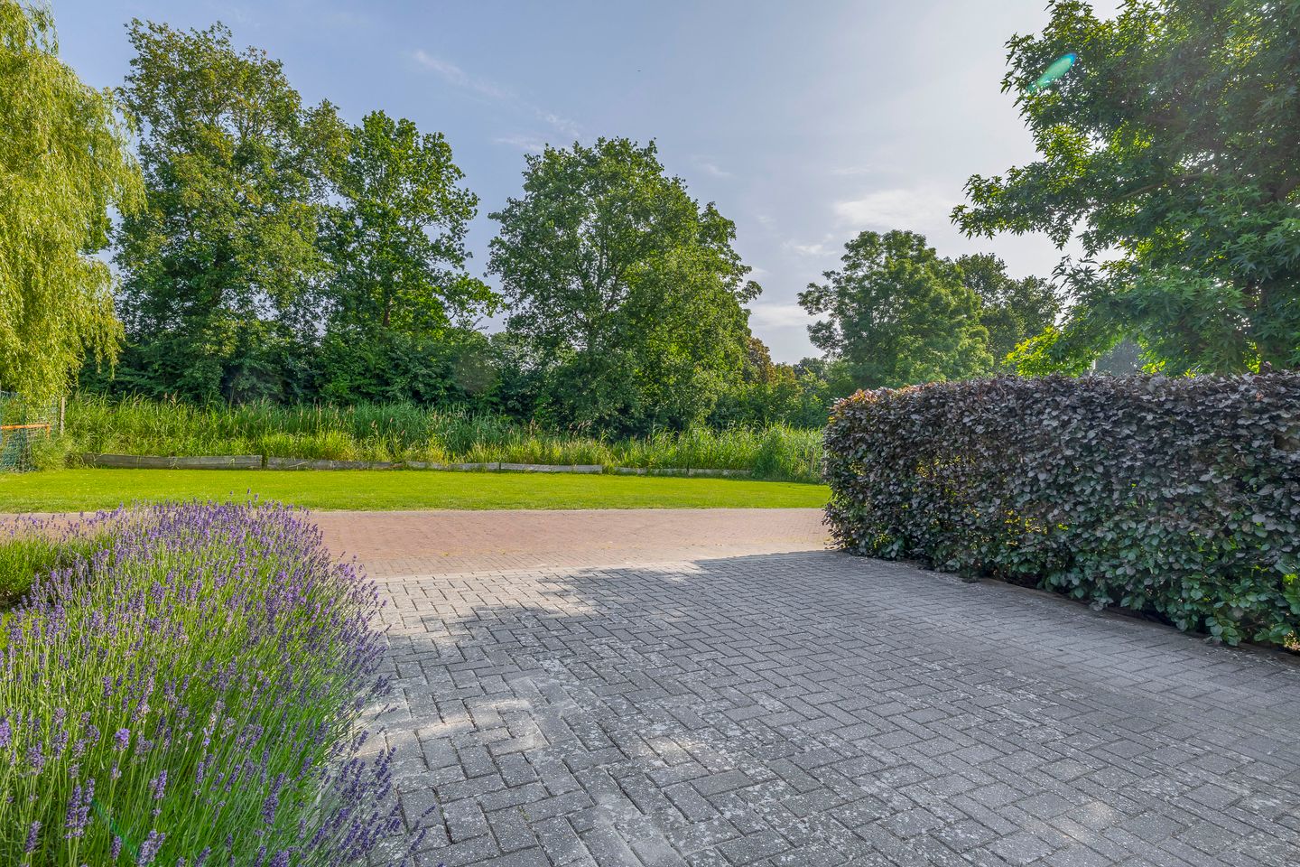 Foto 59 van Wylgestrjitte 7