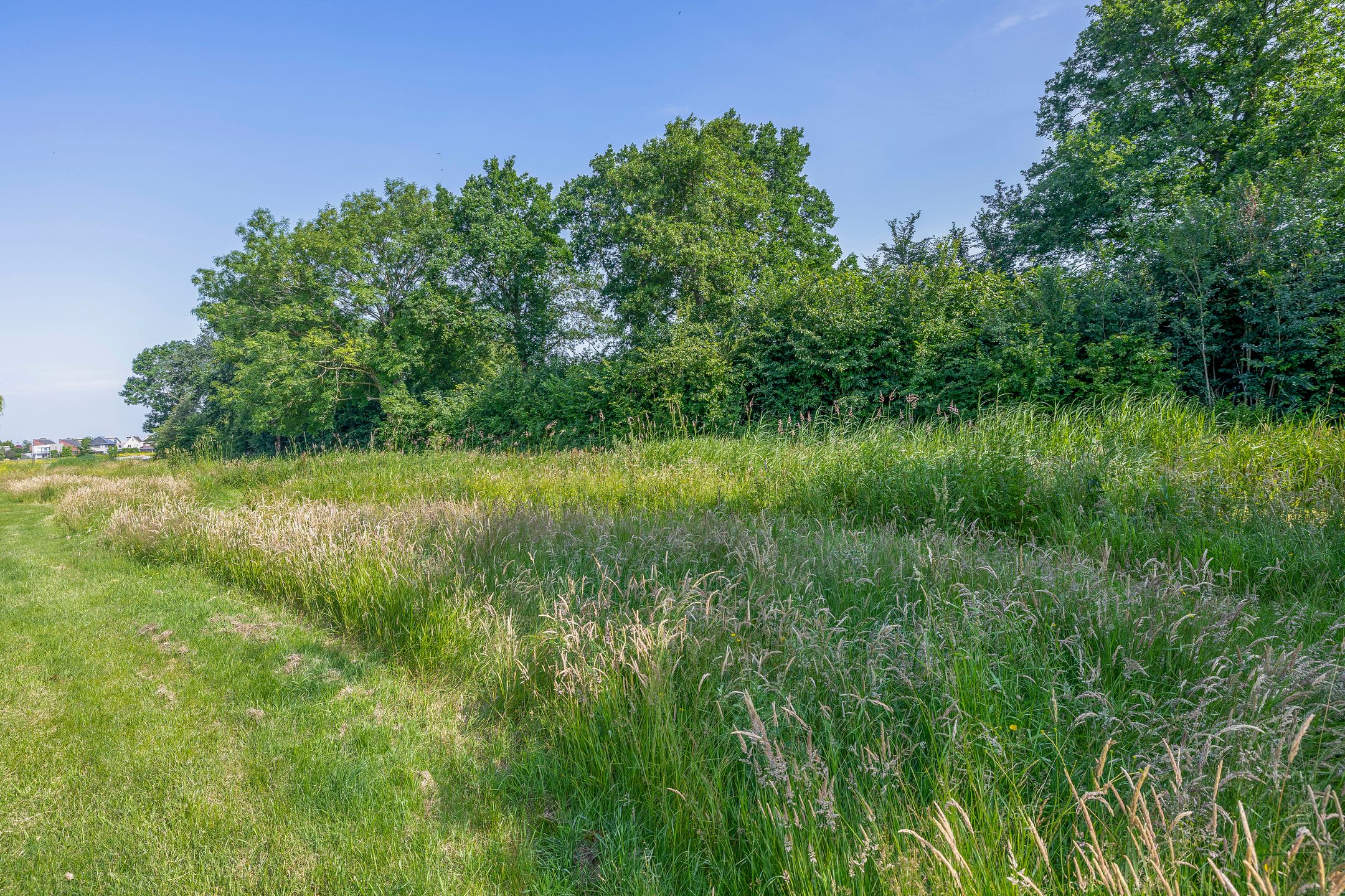 Foto 60 van Wylgestrjitte 7