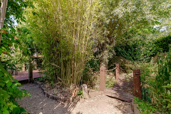 Foto 8 van Maatschapslaan 2