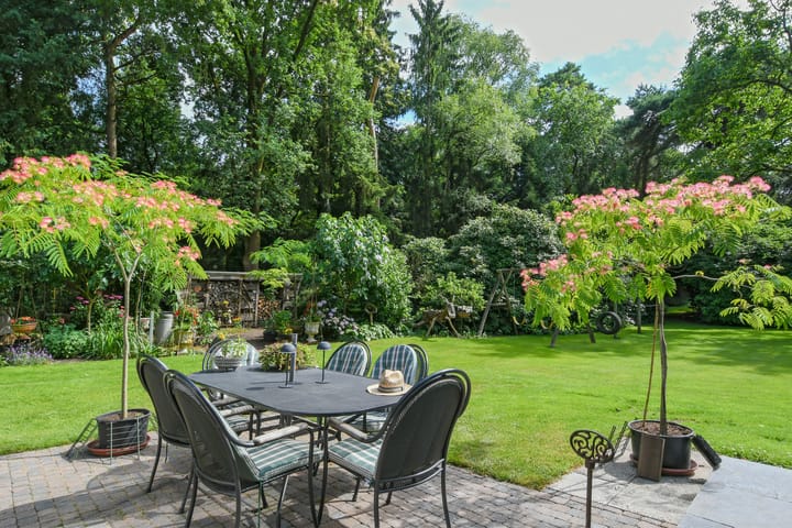 Foto 39 van Zandberg 11