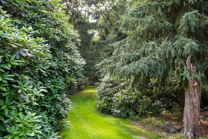 Foto 43 van Zandberg 11