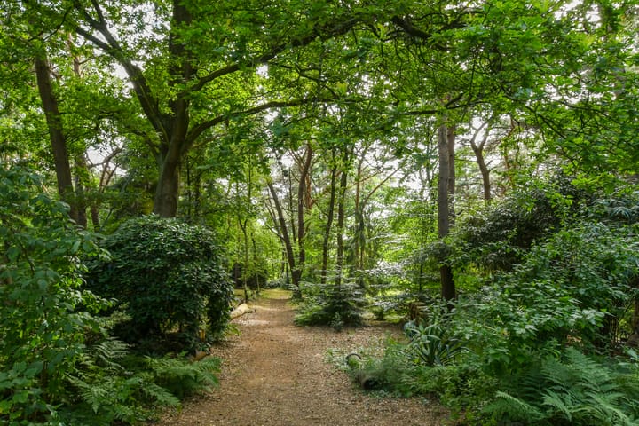 Foto 46 van Zandberg 11