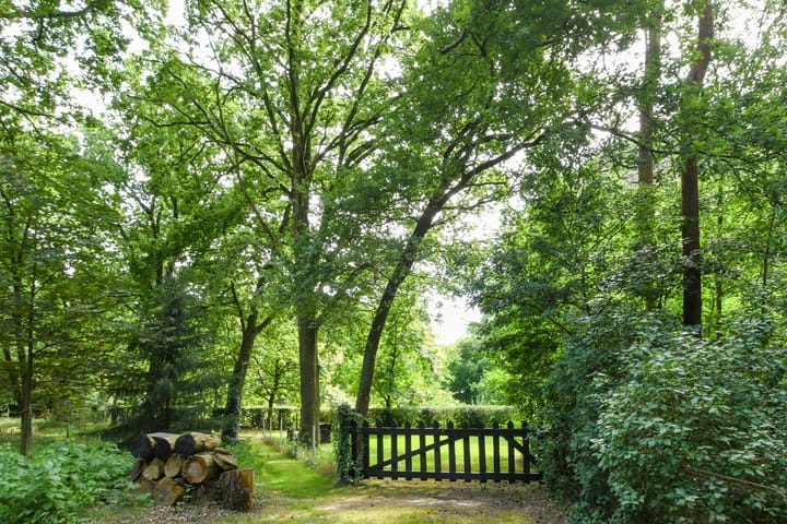 Foto 47 van Zandberg 11