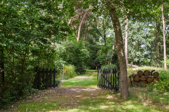 Foto 48 van Zandberg 11