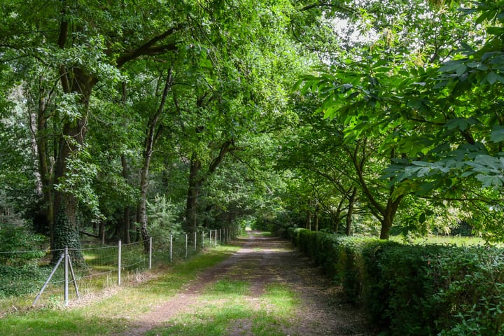 Foto 49 van Zandberg 11