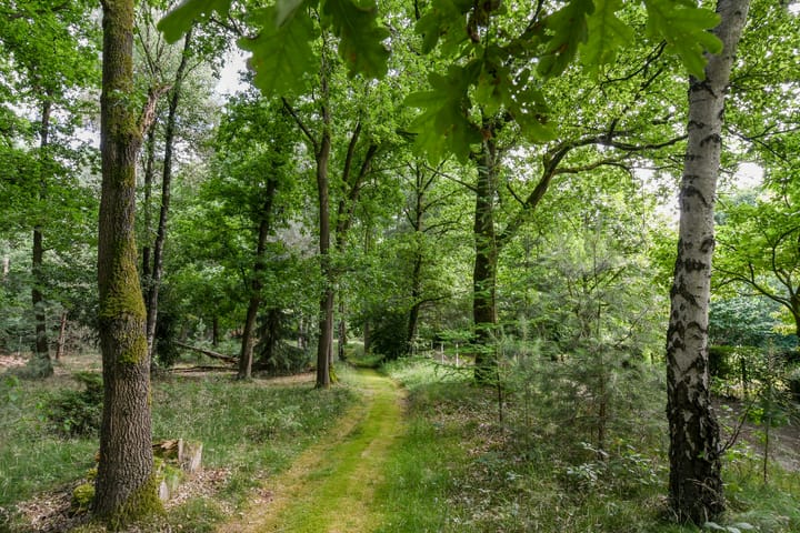 Foto 50 van Zandberg 11