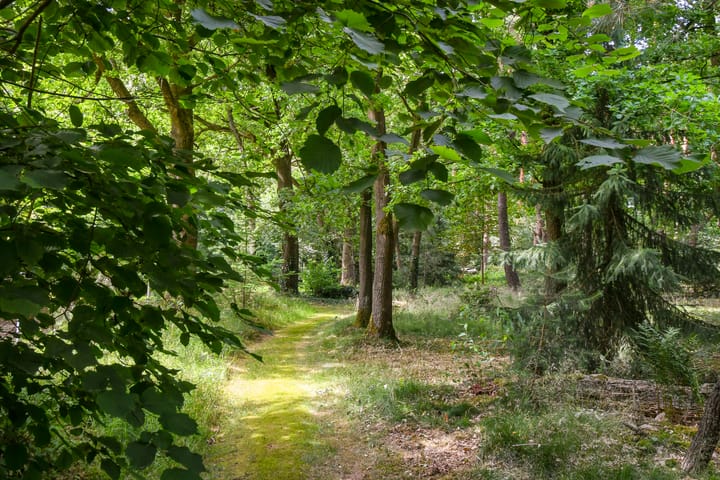 Foto 51 van Zandberg 11