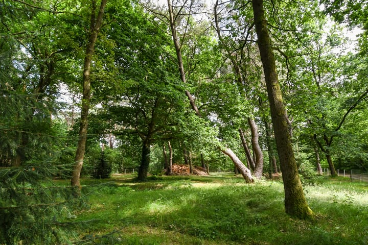 Foto 52 van Zandberg 11