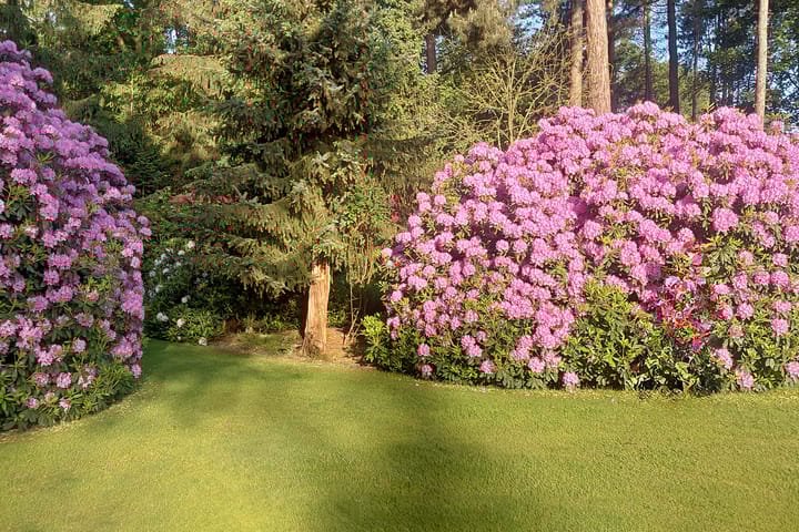 Foto 56 van Zandberg 11