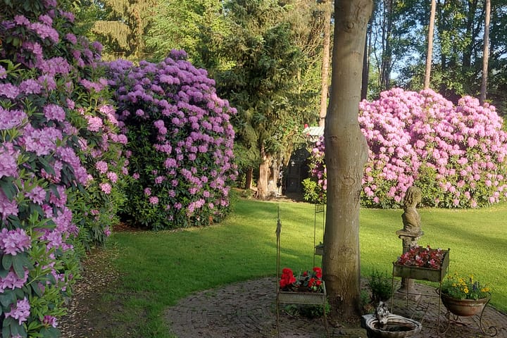 Foto 57 van Zandberg 11