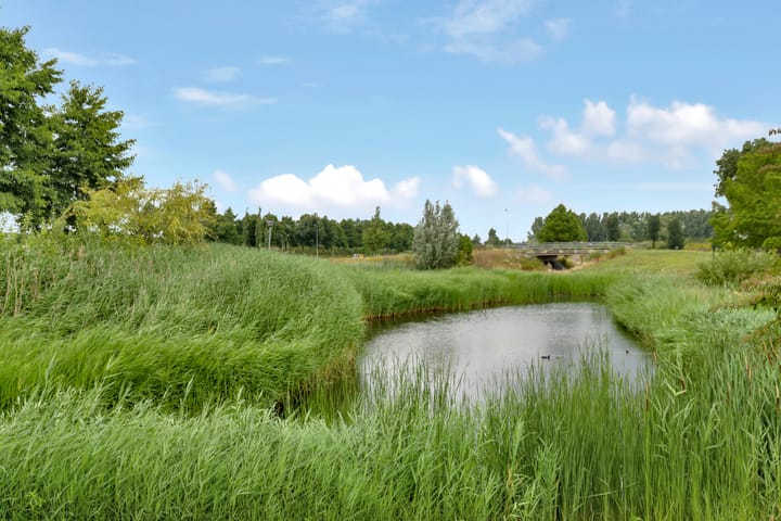 Foto 33 van Reling 26