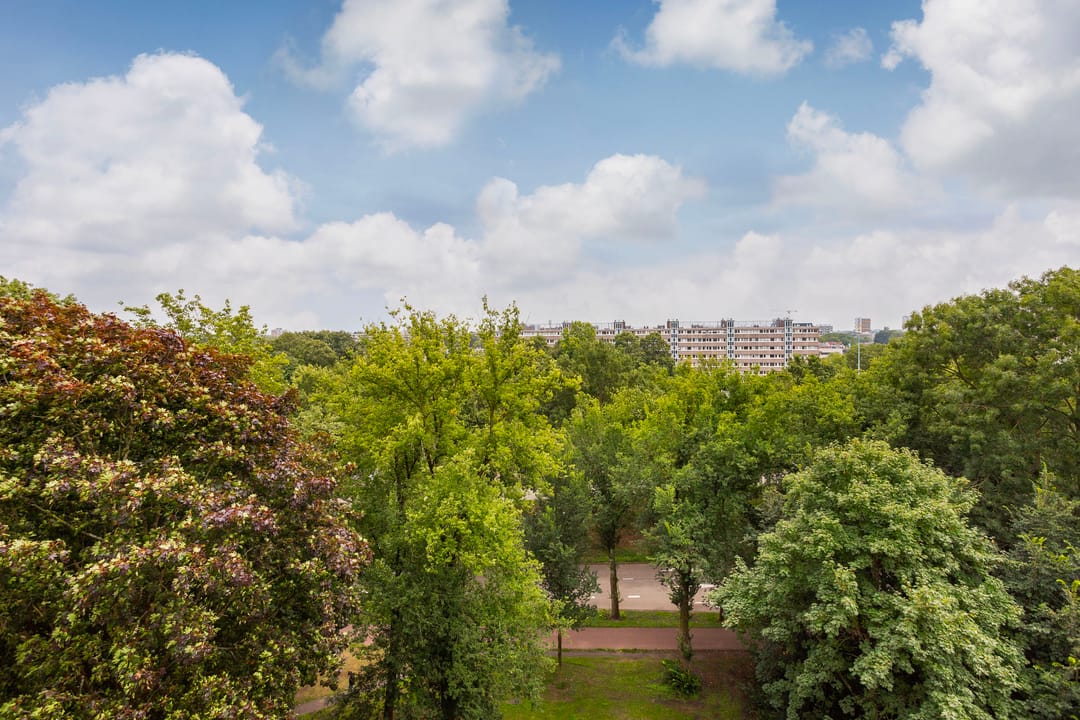 Foto 17 van Tafelbergdreef 104