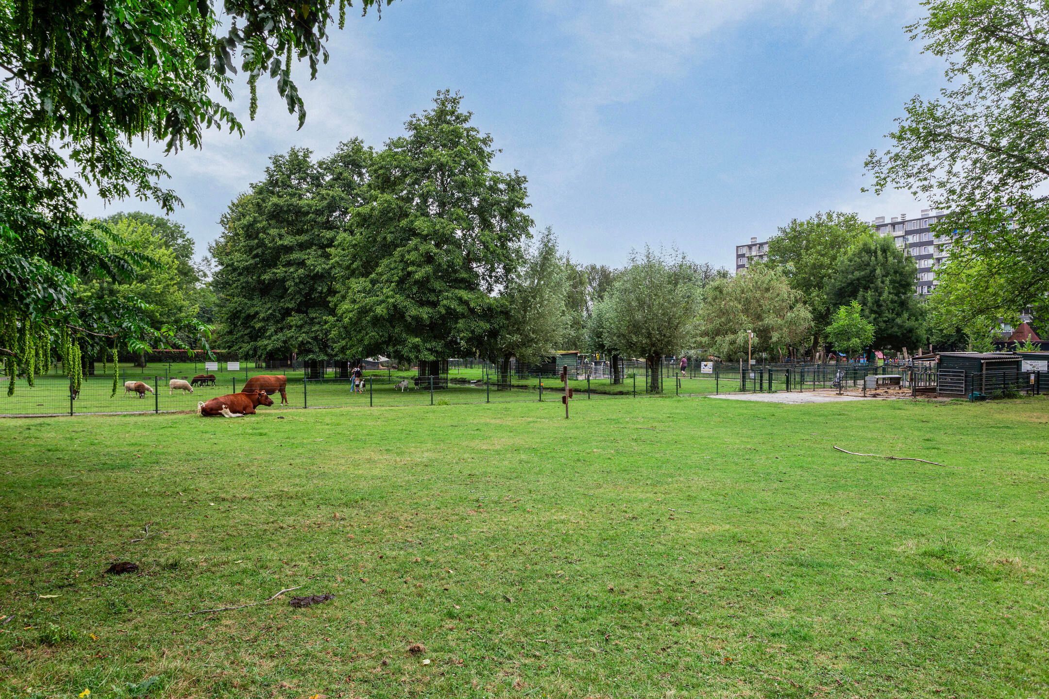 Foto 24 van Tafelbergdreef 104