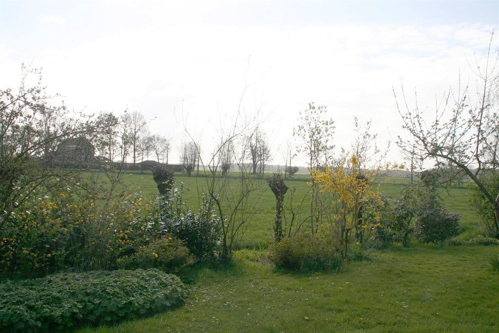 Foto 14 van Ds. E. Kreikenlaan 3-A