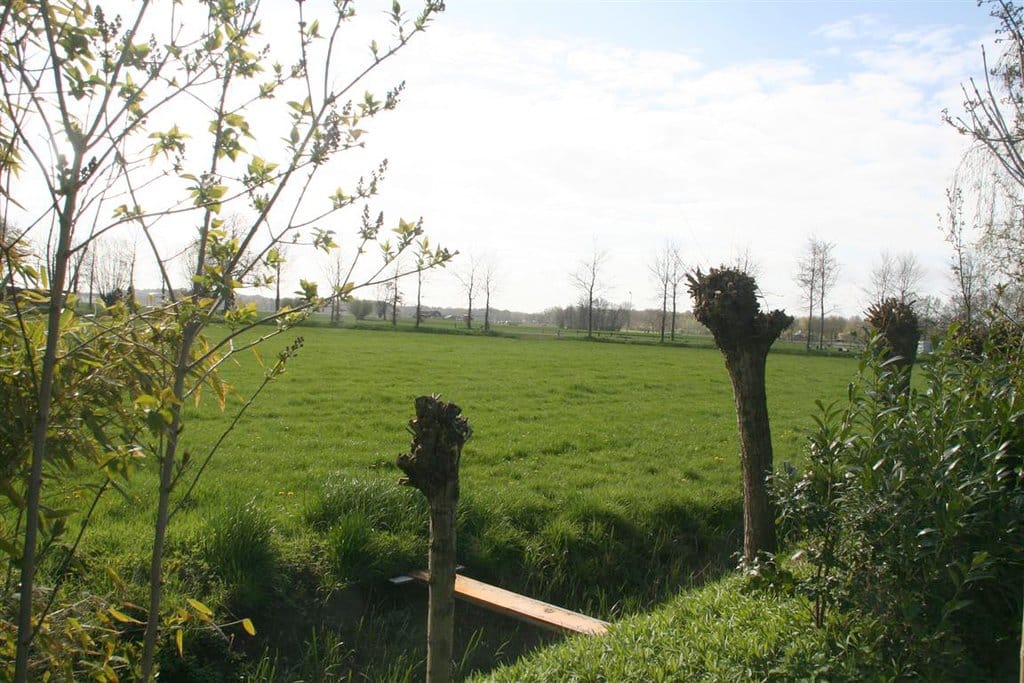 Foto 19 van Ds. E. Kreikenlaan 3-A