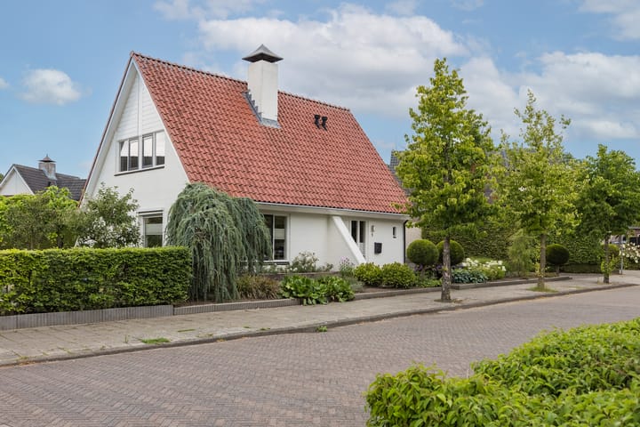 Photo 1 of De Wildbaan 1