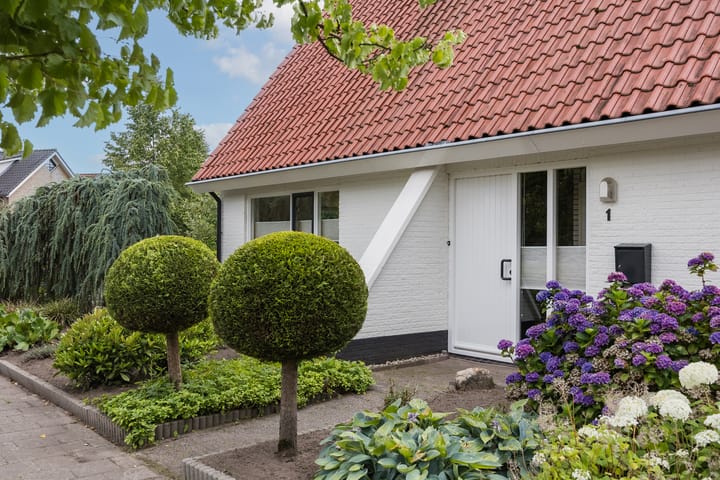 Foto 4 van De Wildbaan 1