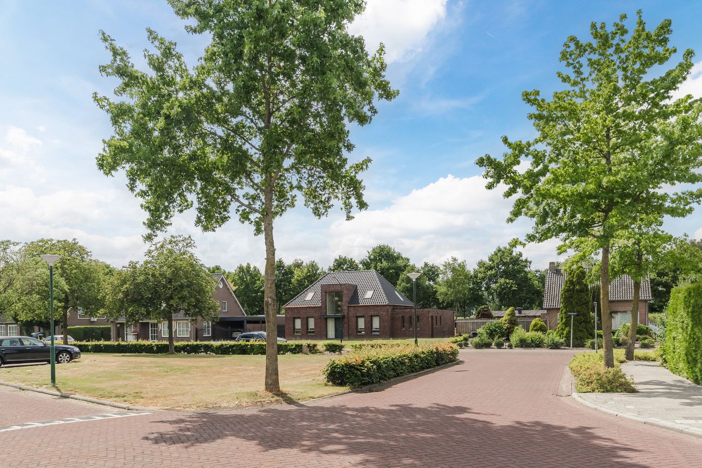 Foto 65 van Geelgors 20