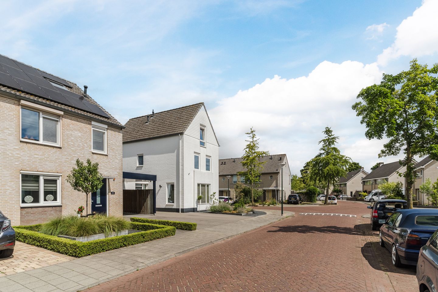 Foto 64 van Geelgors 20