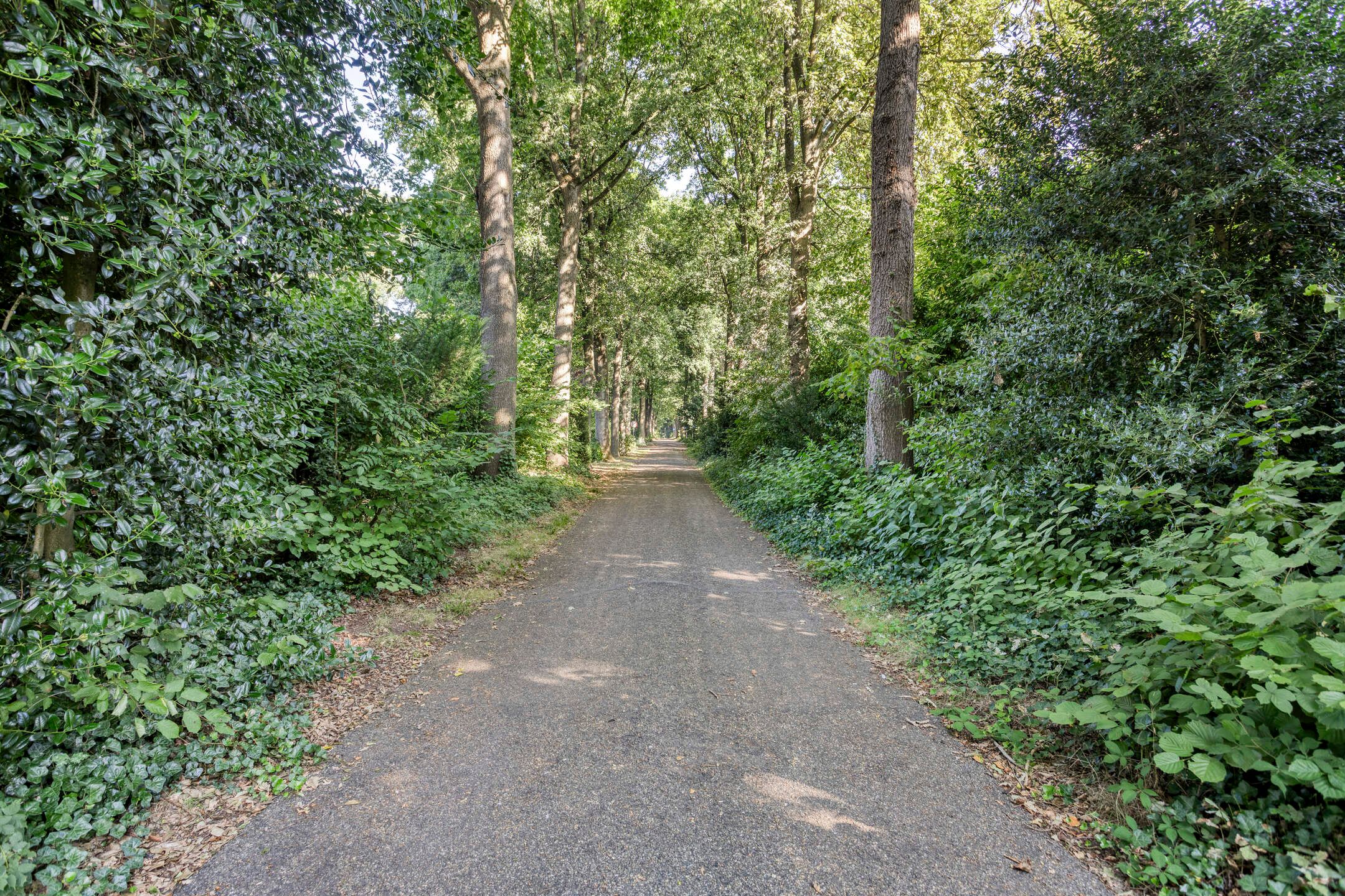 Photo 66 of Beukenlaan 1