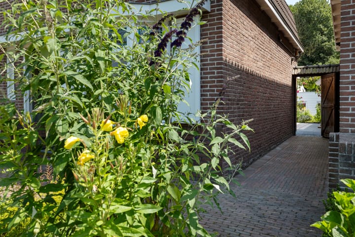 Foto 39 van het Kanaal 18