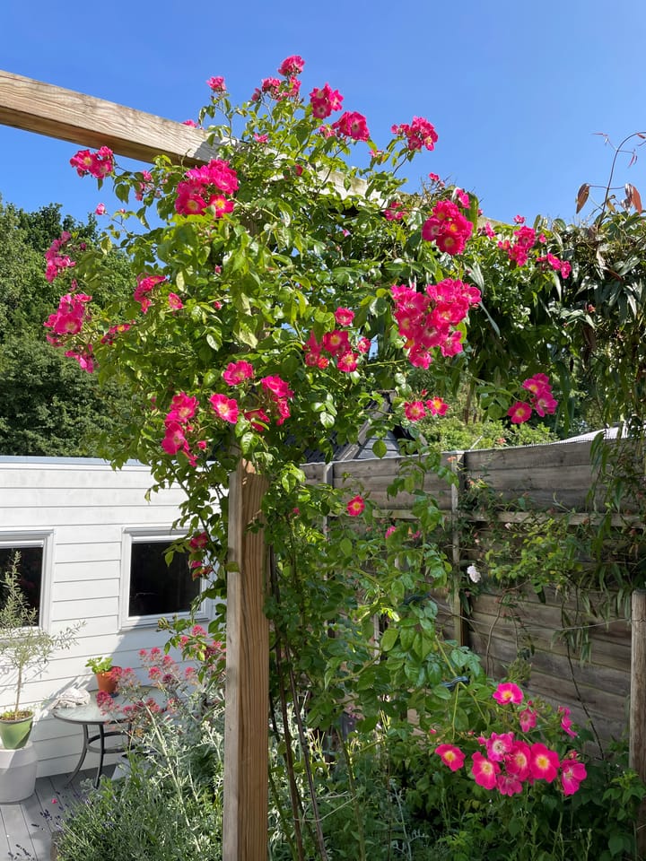 Foto 44 van het Kanaal 18