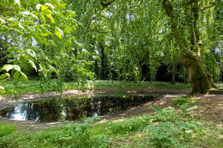 Foto 51 van het Kanaal 18