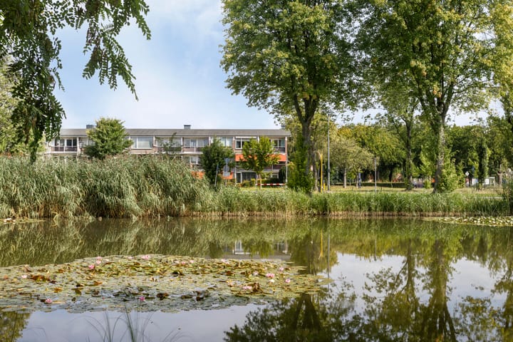 Foto 2 van Van Borsselestraat 53