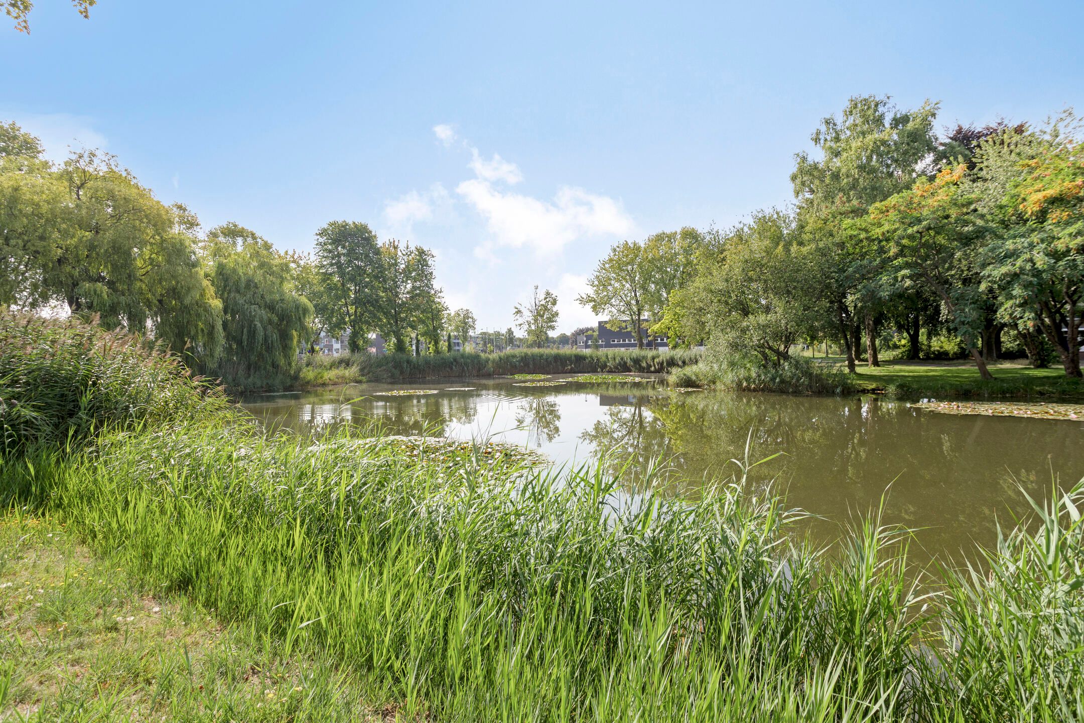 Photo 27 of Van Borsselestraat 53