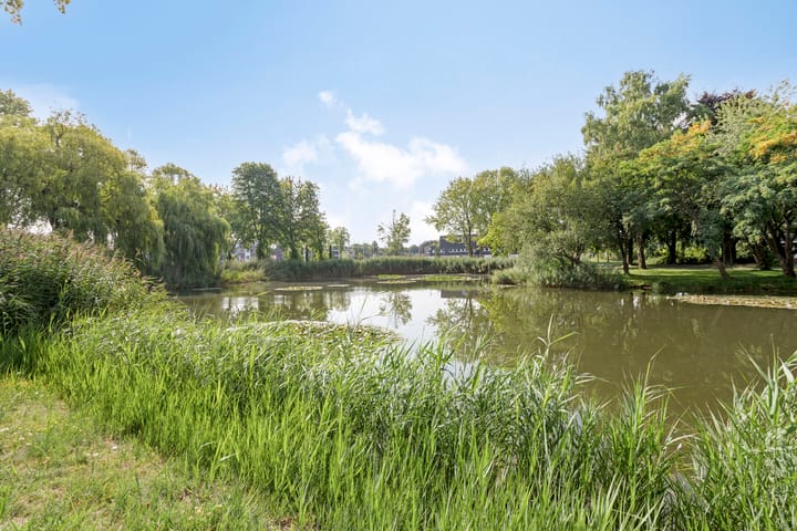 Foto 27 van Van Borsselestraat 53