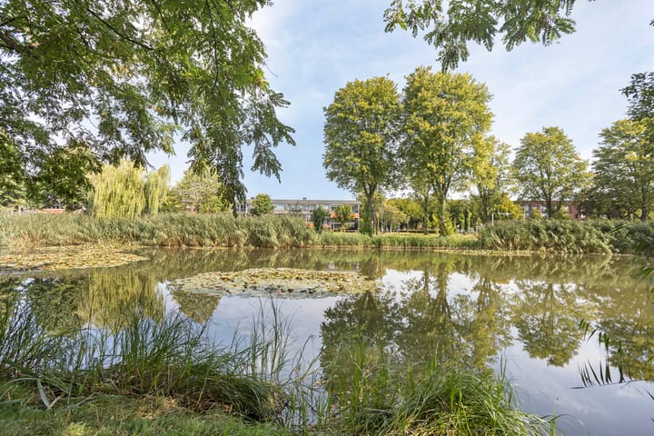 Foto 28 van Van Borsselestraat 53