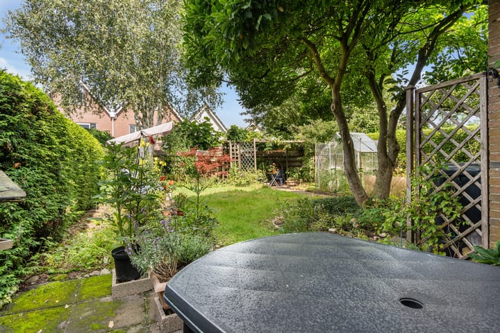 Foto 39 van Clemenswerth 10